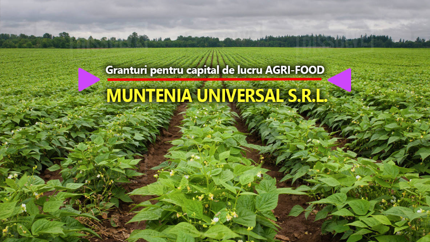 Muntenia Universal S.R.L anunţă finalizarea derulării proiectului ”Granturi pentru capital de lucru AGRI-FOOD”