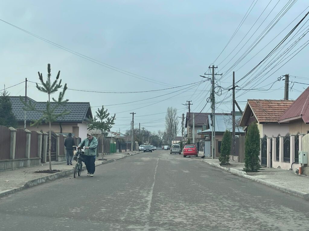 Sute de arbori vor fi plantați pe mai multe străzi din Râmnicu Sărat
