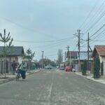 Sute de arbori vor fi plantați pe mai multe străzi din Râmnicu Sărat