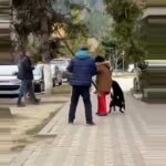 Incident șocant! Femeie, mușcată și trântită pe trotuar de un câine agresiv