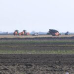 Autostrada le-a adus pagube. Parcele de usturoi de lângă Rm. Sărat, fărâmițate de exproprieri