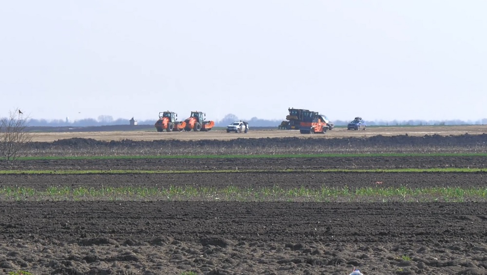 Autostrada le-a adus pagube. Parcele de usturoi de lângă Rm. Sărat, fărâmițate de exproprieri