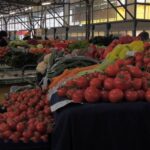 Primele roșii românești. Tomatele autohtone vor ajunge pe tarabe la jumătatea lunii martie