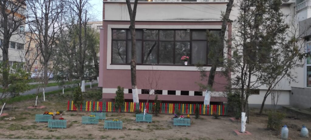 Grădinița de la bloc. Florile și plantele verzi înfrumusețează viața