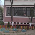 Grădinița de la bloc. Florile și plantele verzi înfrumusețează viața