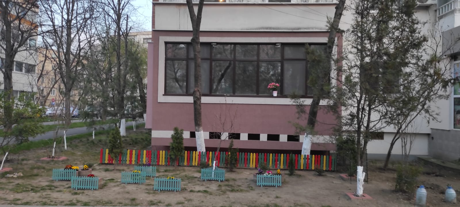 Grădinița de la bloc. Florile și plantele verzi înfrumusețează viața