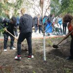 „Îmbujorăm România!”, la Liceul „D. Filipescu”. Elevii au plantat bujori și alte flori în curtea liceului