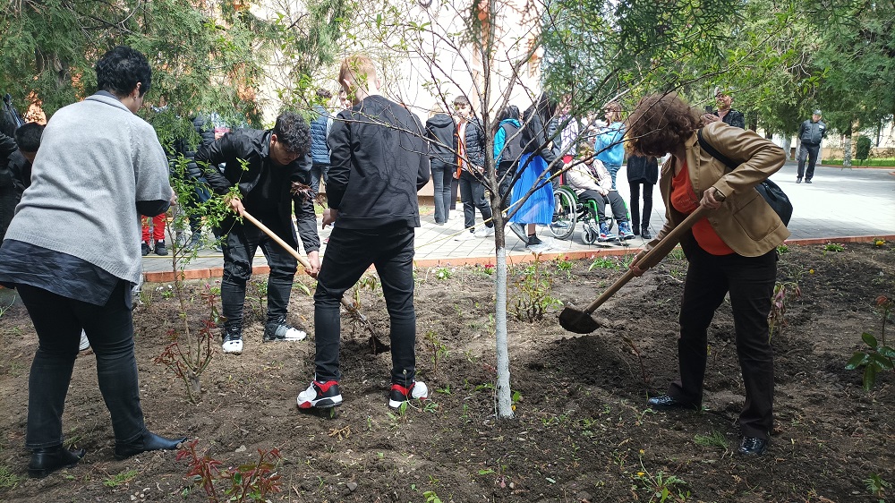 „Îmbujorăm România!”, la Liceul „D. Filipescu”. Elevii au plantat bujori și alte flori în curtea liceului
