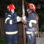 Intervenție inedită a pompierilor. Pisică salvată dintr-o fântână secată, la Smeeni
