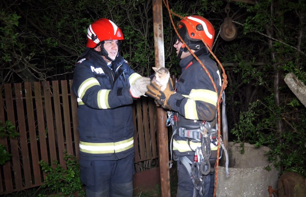 Intervenție inedită a pompierilor. Pisică salvată dintr-o fântână secată, la Smeeni