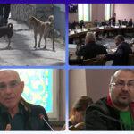 Procesul câinilor. Societatea Urbis dată în judecată