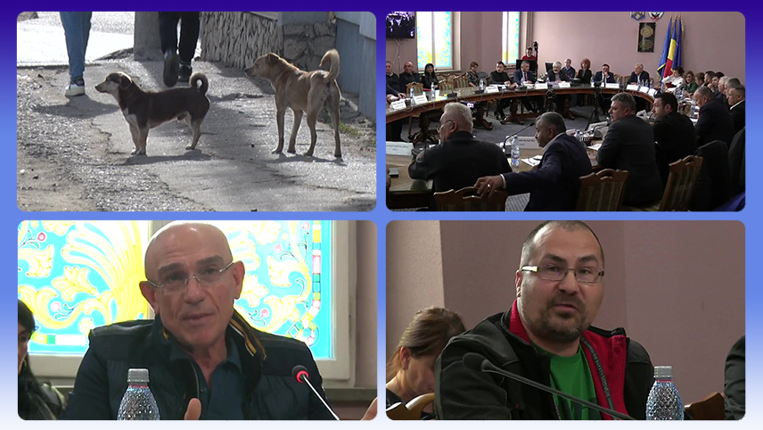 Procesul câinilor. Societatea Urbis dată în judecată