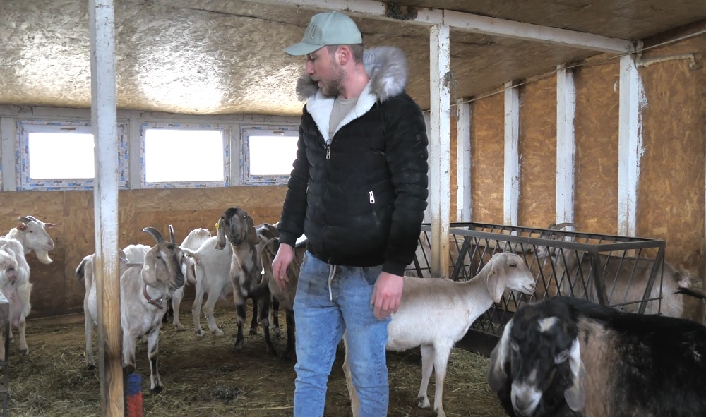 În căutare de produse Bio. Tot mai mulți buzoieni se aprovizionează de la gospodării țărănești