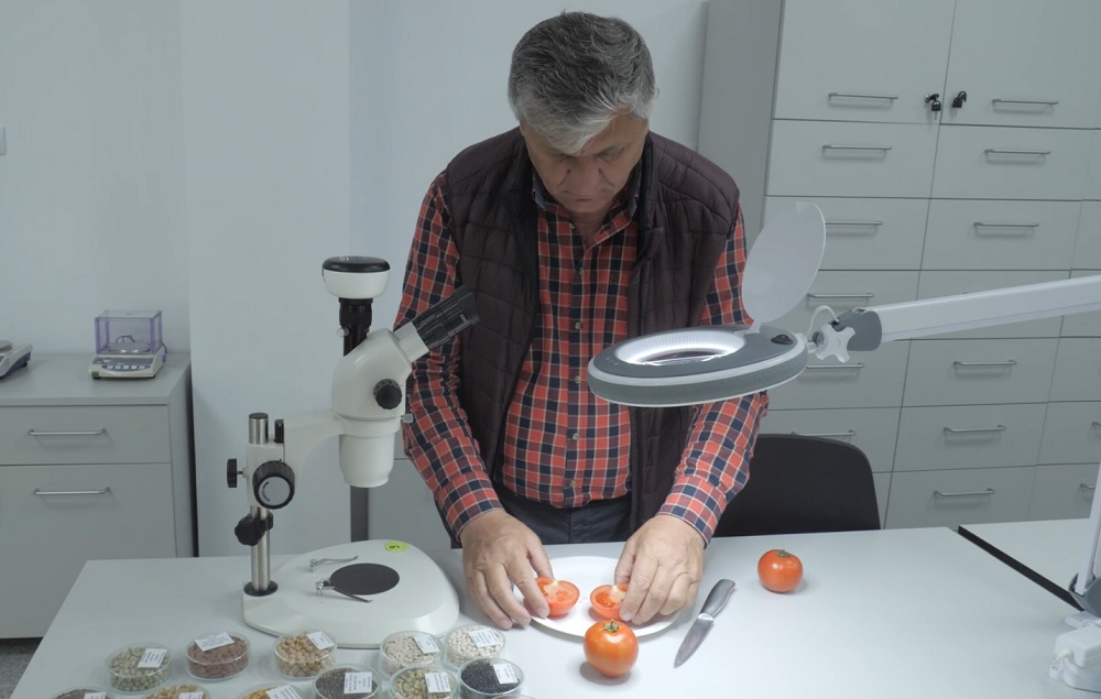 Semne care arată că roșia este stimulată cu chimicale. Explicația celui mai cunoscut cercetător în horticultură