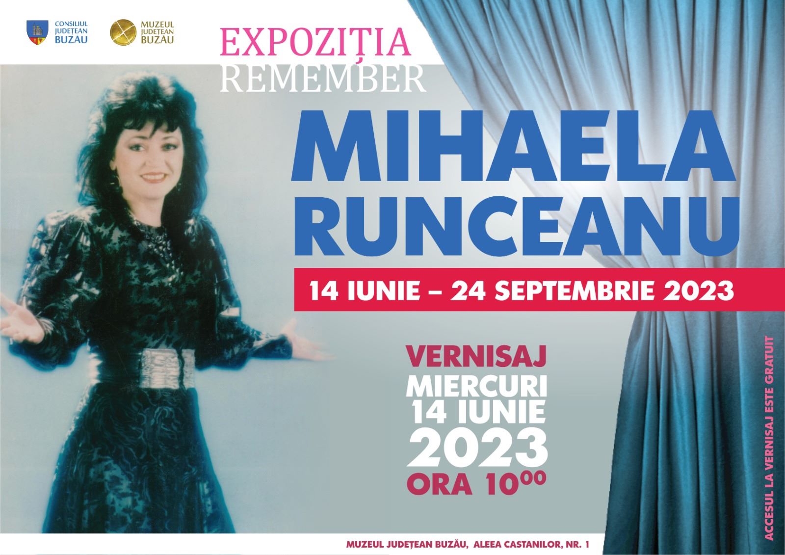 Remember Mihaela Runceanu. Să nu ne uităm valorile