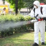 Atac la țânțărime. Dezinsecția se desfășoară în întreg orașul