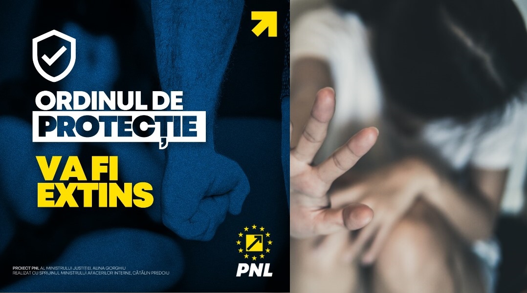 Proiectul de lege privind ordinul de protecție a fost aprobat de Guvern. Comunicat de presă PNL
