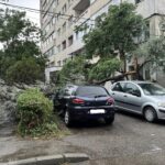 (UPDATE/FOTO) BUZĂU. Primele efecte. Copaci doborâți, mașini avariate