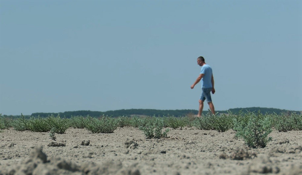 Seceta face prăpăd în zona de câmpie. Lacul Amara a secat complet