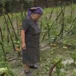 Pagube provocate de grindină. Cei mai afectați, localnicii din Zărnești și Racovițeni