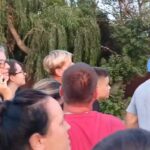 Urs rătăcit în apropiere de orașul Buzău. Zeci de localnici s-au strâns să vadă cu ochii lor sălbăticiunea