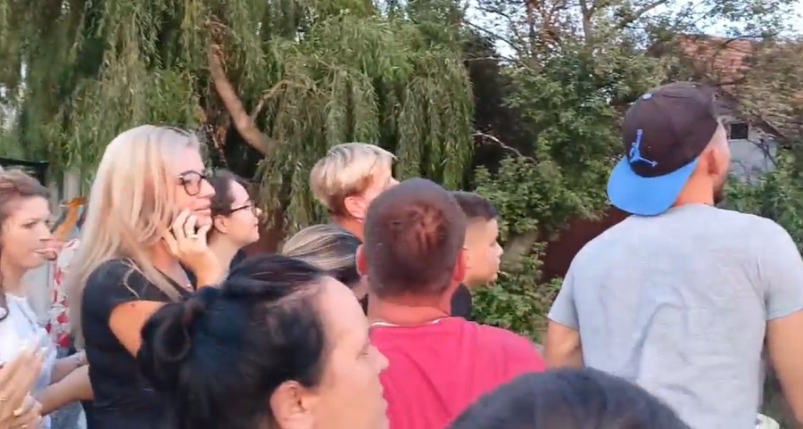 Urs rătăcit în apropiere de orașul Buzău. Zeci de localnici s-au strâns să vadă cu ochii lor sălbăticiunea