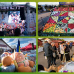 Proiect de hotărâre privind organizarea şi funcţionarea Târgului Toamna Buzoiană 2023