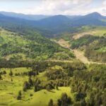 Pădurile nimănui, la cheremul hoților de lemn! Peste 16.000 de hectare de pădure, abandonate de proprietari