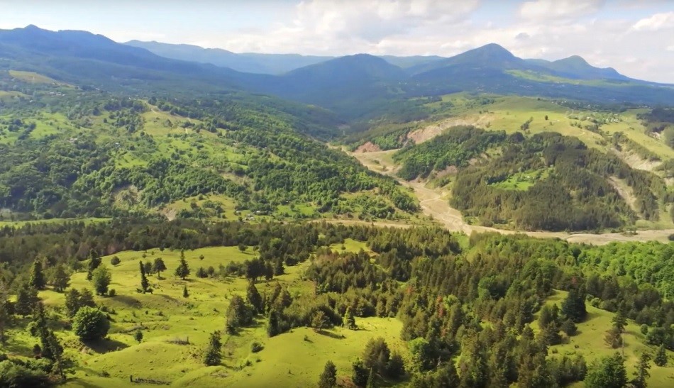 Pădurile nimănui, la cheremul hoților de lemn! Peste 16.000 de hectare de pădure, abandonate de proprietari