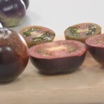 Roșiile „Rapsodia”, în curs de omologare. Este primul soi de tomate negre din România