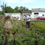 Deficit de personal la Banca de gene. Sunt doar 16 angajați, deși organigrama prevede un număr aproape dublu