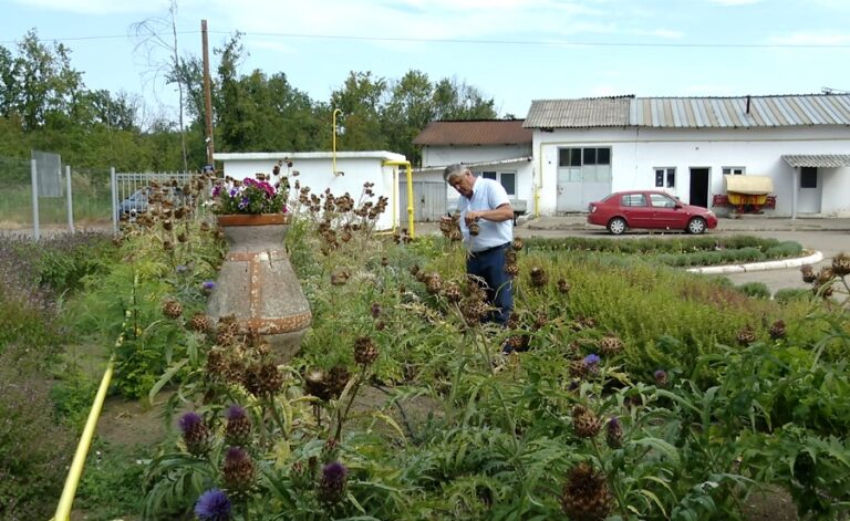 Deficit de personal la Banca de gene. Sunt doar 16 angajați, deși organigrama prevede un număr aproape dublu