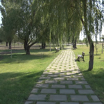 Buzăul, fruntaș la spațiile verzi. Ţinta, cel mai verde oraş