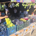 Sfârșit de „Toamnă Buzoiană”. Trei zile de belșug și voie bună