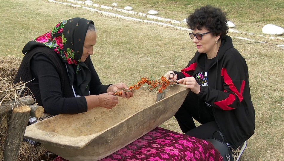 Farmacia din flora sălbatică. Cătina este considerată „regina imunităţii”