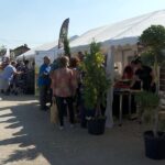 Mii de vizitatori, la „Festivalul Cârnaților de Pleșcoi”. Spectacole de neuitat și standuri culinare asaltate de turiști