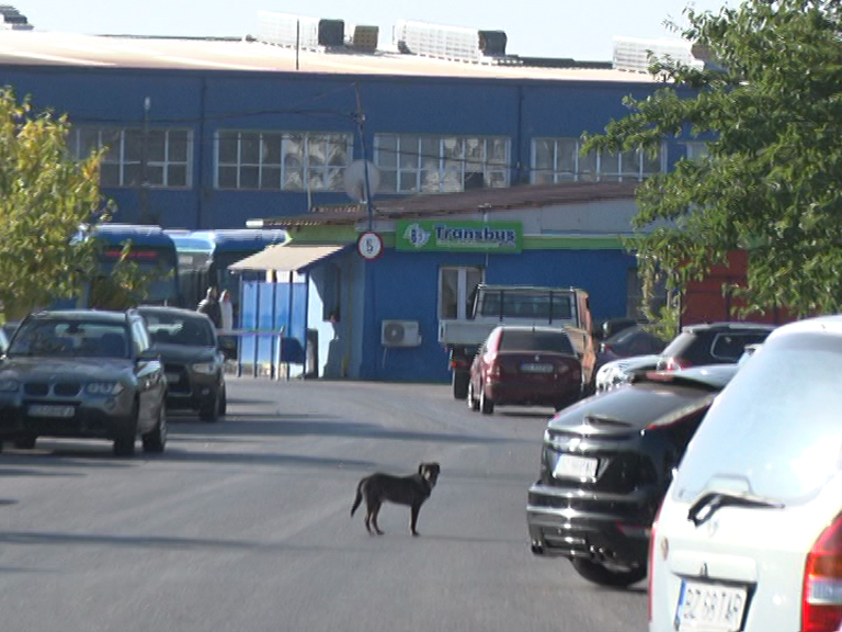 Semafor cu buton la Trans Bus. Stop la ieșire