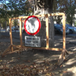 Liber în weekend. Se ridică restricția de circulație rutieră pe Bălcescu