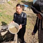 Își potolesc setea cu apă plină cu nămol. Seceta a secat fântânile în localitatea Sările