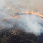 Zeci de incendii necontrolate, în doar 7 zile. Sute de hectare de vegetație, mistuite de flăcări