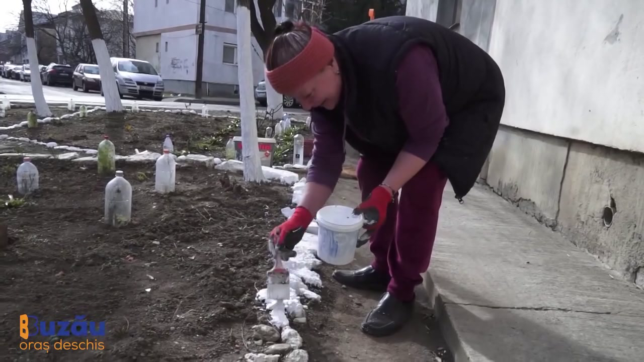 Începe curățenia. Spațiile verzi din jurul blocurilor au nevoie de îngrijire