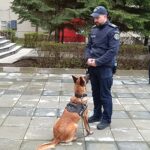 Se fac angajări în poliție! Posturi de agenţi adresate iubitorilor de animale