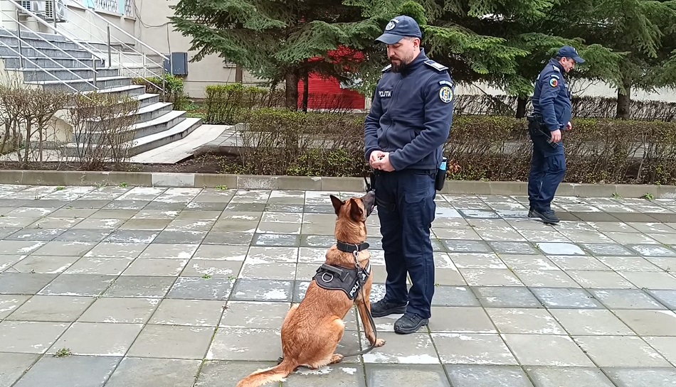 Se fac angajări în poliție! Posturi de agenţi adresate iubitorilor de animale