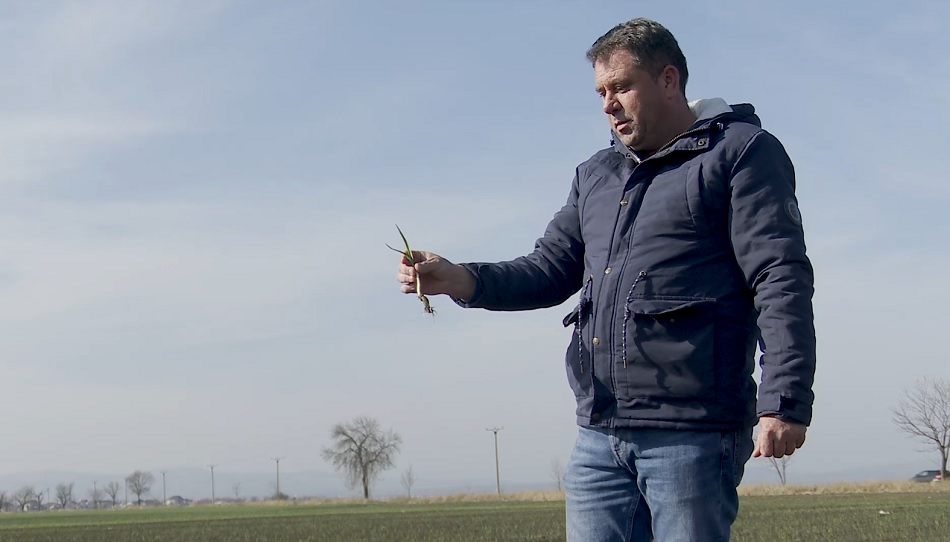 Sprijin nesperat pentru fermieri. Subvenții acordate în avans pentru tomate și usturoi