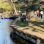 Încep lucrările pentru înfrumusețarea heleșteului din Crâng