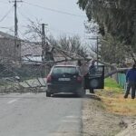 Efectele Codului Portocaliu de vânt. Copaci și stâlpi, puși la pâmânt de vântul puternic