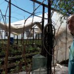 Codul Portocaliu a făcut ravagii. Solarii distruse de vântul puternic