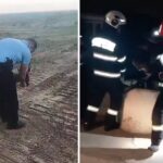 Misiuni inedite ale jandarmilor și pompierilor buzoieni. Animale aflate în pericol, salvate de către angajații M.A.I.