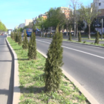 Se refac spațiile verzi de pe bulevardul Unirii