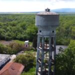 Pădurea Crâng redevine arie naturală protejată? Decizia Tribunalului București, comentată de toate părțile implicate